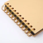S148c7de3d0cb49d5a5b85287a00305cch.webp